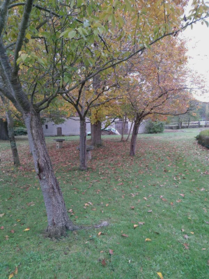 2018-Lacaze_Vidouze-17