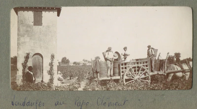 vendanges_au_Pape_Clement